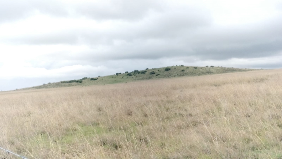 5 Bedroom Property for Sale in Dewetsdorp Rural Free State